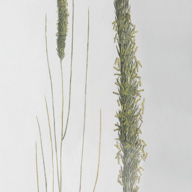 Комплект картин из 6-ти шт. UTTERMOST 41459 -