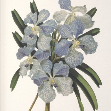 Постеры UTTERMOST 32447 - 